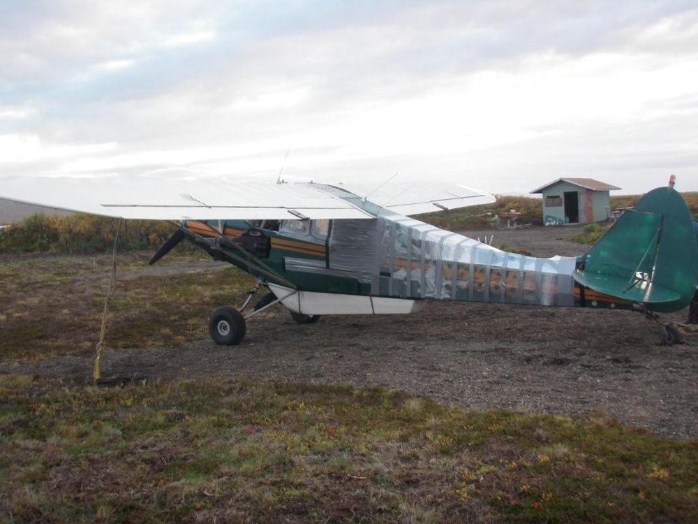 Rencontre avion ours