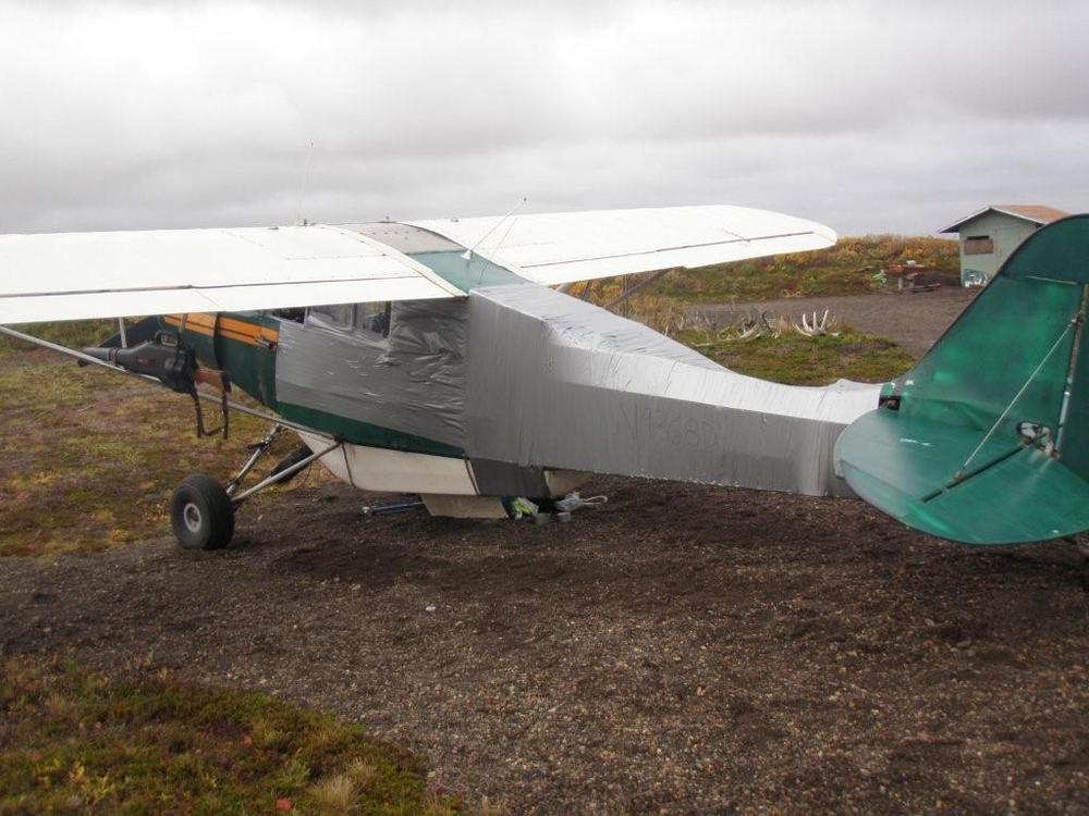 Rencontre avion ours