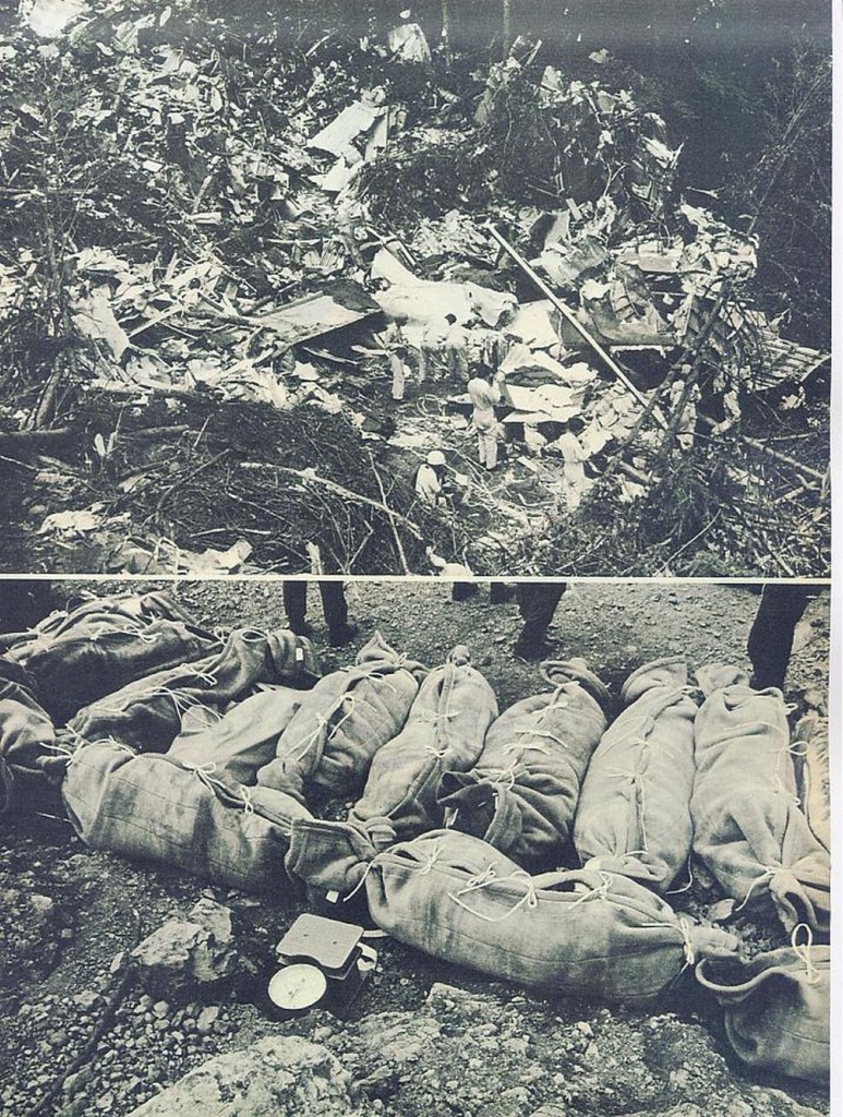 Japan Airlines 123 - Le Crash le Plus Grave de l’Histoire de l’Aviation 